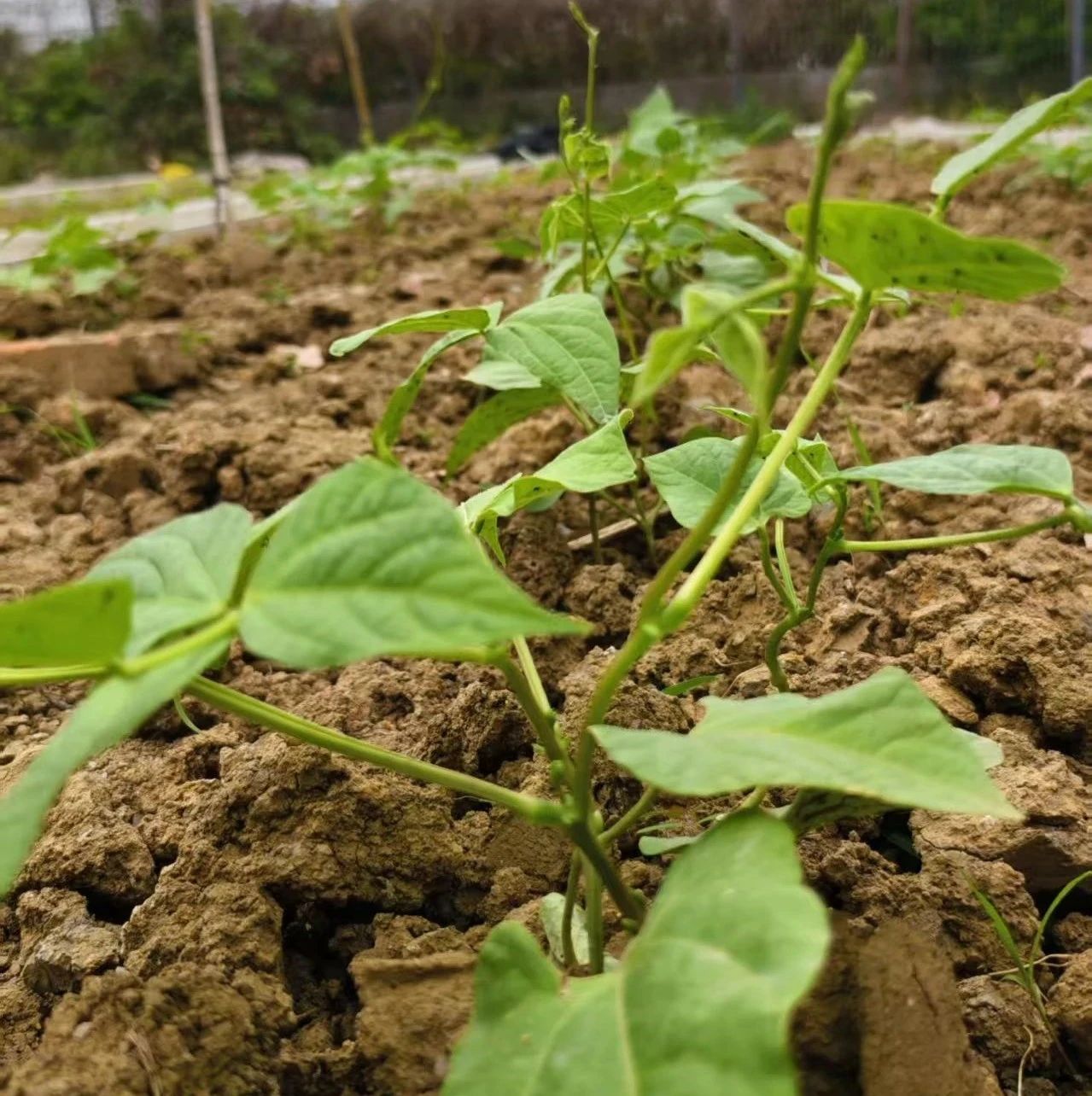 5cb306462e90479e278dde87eac84f7f.jpg 5cb306462e90479e278dde87eac84f7f.jpg