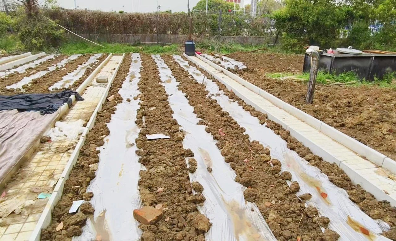 95111e788e15c55c27fef447d40c2581.jpg 95111e788e15c55c27fef447d40c2581.jpg